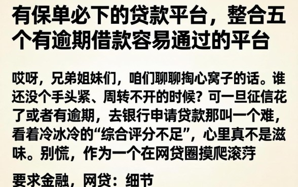 有保单必下的贷款平台，整合五个有逾期借款容易通过的平台