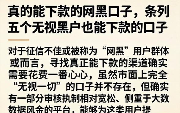 真的能下款的网黑口子，条列五个无视黑户也能下款的口子