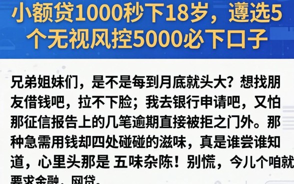 小额贷1000秒下18岁，遴选5个无视风控5000必下口子