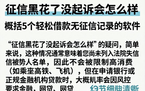 征信黑花了没起诉会怎么样，概括5个轻松借款无征信记录的软件