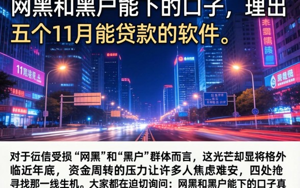 网黑和黑户能下的口子，理出五个11月能贷款的软件