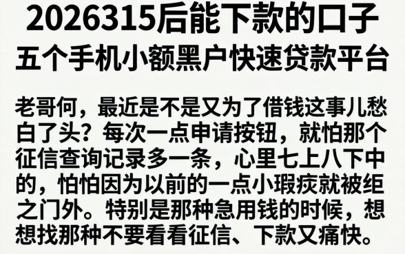 2026315后能下款的口子,详细阐述五个手机小额黑户快速贷款平台