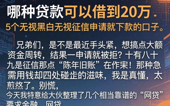 哪种贷款可以借到20万，概括5个无视黑白无视征信申请就下款的口子