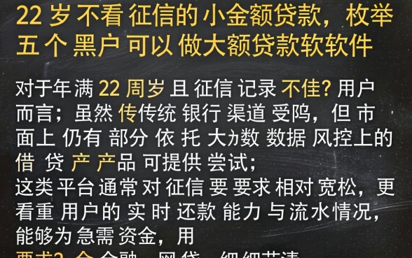 22岁不看征信的小额贷款,枚举五个黑户可以做大额贷款软件