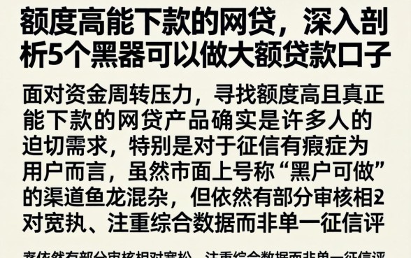 额度高能下款的网贷,深入剖析5个黑户可以做大额贷款口子