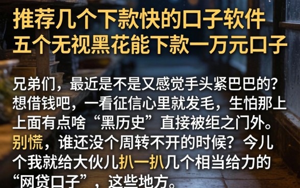 推荐几个下款快的口子软件，详细阐述五个无视黑花能下款一万元口子