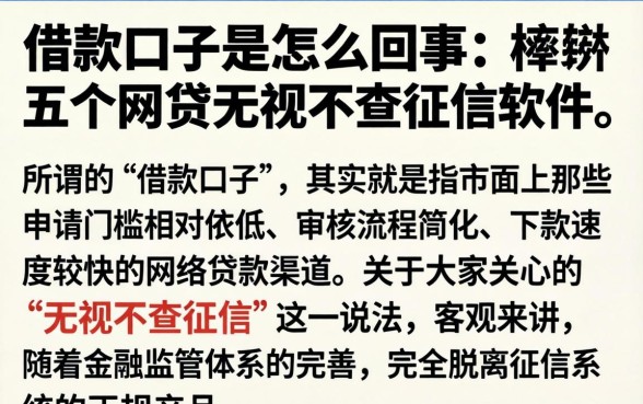 借款口子是怎么回事，枚举五个网贷无视不查征信软件