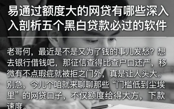 易通过额度大的网贷有哪些，深入剖析五个黑白贷款必过的软件