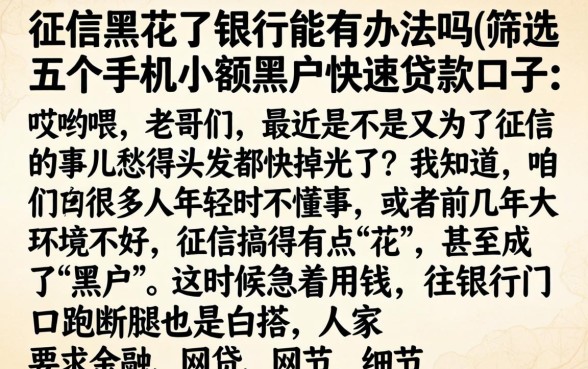 征信黑花了银行能有办法吗，筛选五个手机小额黑户快速贷款口子