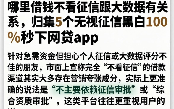 哪里借钱不看征信跟大数据有关系，归集5个无视征信黑白100%秒下网贷app