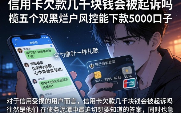 信用卡欠款几千块钱会被起诉吗,概览五个双黑烂户风控能下款5000口子