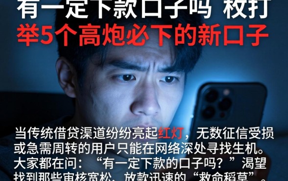 有一定下款的口子吗，枚举5个高炮必下的新口子