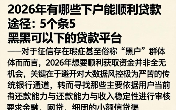 2026年有哪些下户能顺利贷款的途径，条列5个黑户可以下的贷款平台
