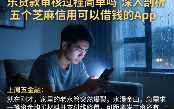 乐贷款审核过程简单吗，深入剖析五个芝麻信用可以借钱的app