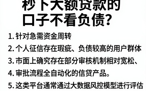 秒下大额贷款的口子不看负债，条列5个无视黑花半夜下款的网贷app