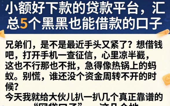 小额好下款的贷款平台，汇总5个黑户也能借款的口子