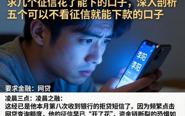 求几个征信花了能下的口子，深入剖析五个可以不看征信就能下款的口子