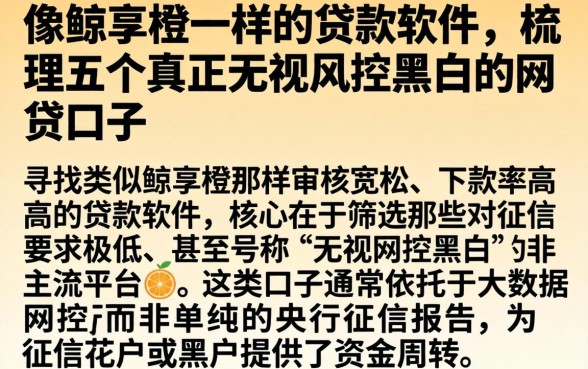 像鲸享橙一样的贷款软件,梳理五个真正无视风控黑白的网贷口子