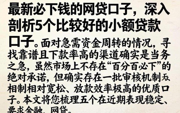 最新必下钱的网贷口子，深入剖析5个比较好的小额贷款口子
