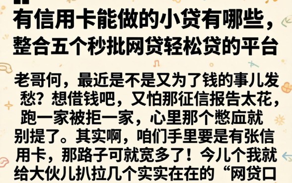 有信用卡能做的小贷有哪些，整合五个秒批网贷轻松贷的平台
