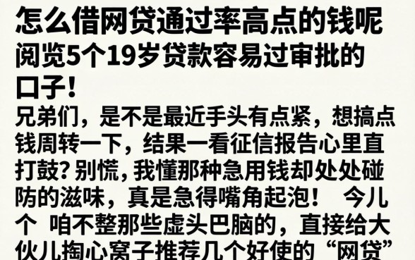 怎么借网贷通过率高点的钱呢，概览5个19岁贷款容易过审批的口子