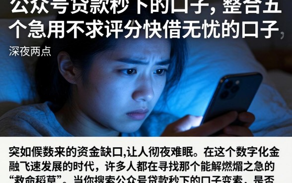 公众号贷款秒下的口子，整合五个急用不求评分快借无忧的口子