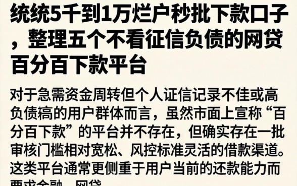 统统5千到1万烂户秒批下款口子，整理五个不看征信负债的网贷百分百下款平台