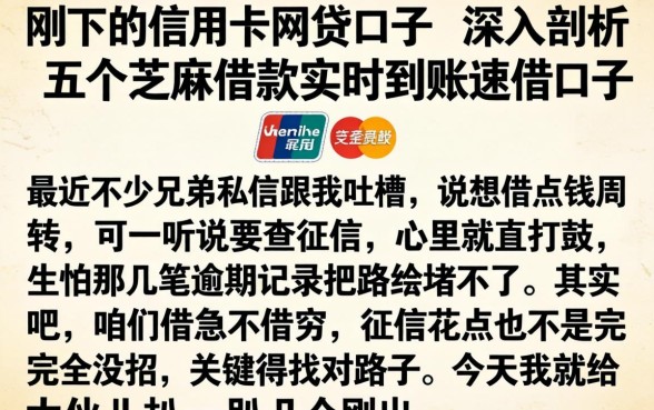 刚下的信用卡网贷口子,深入剖析五个芝麻借款实时到账速借口子