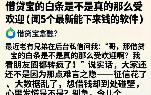 借贷宝的白条是不是真的那么受欢迎，细致阐述5个最新能下来钱的软件
