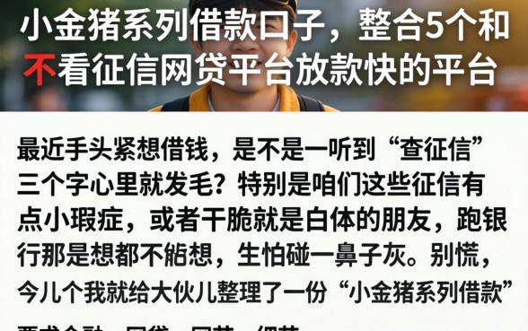 小金猪系列借款口子，整合5个不看征信网贷平台放款快的平台
