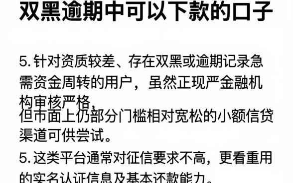 双黑逾期中可以下款的口子,归纳5个黑户都能下的平台