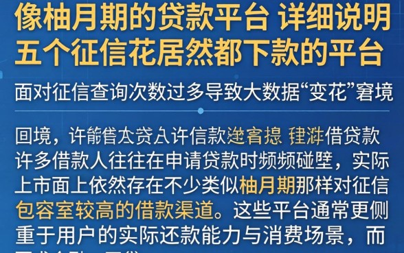 像柚分期的贷款平台，详尽说明五个征信花居然都下款的平台