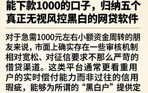 能下款1000的口子,归纳五个真正无视风控黑白的网贷软件