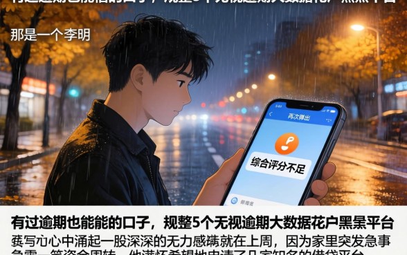 有过逾期也能借的口子，规整5个无视逾期大数据花户黑户平台