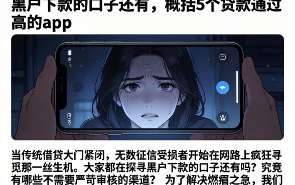 黑户下款的口子还有，概括5个贷款通过高的app