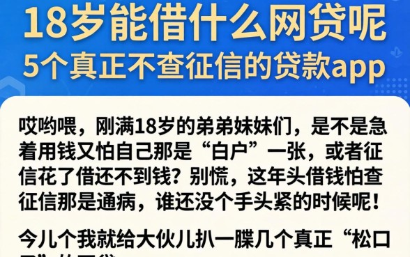 18岁能借什么网贷呢，整合5个真正不查征信的贷款app