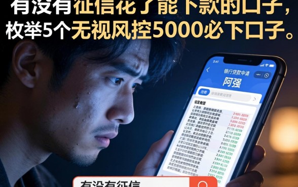 有没有征信花了能下款的口子，枚举5个无视风控5000必下口子