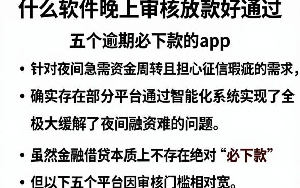 什么软件晚上审核放款好通过,概括五个逾期必下款的app