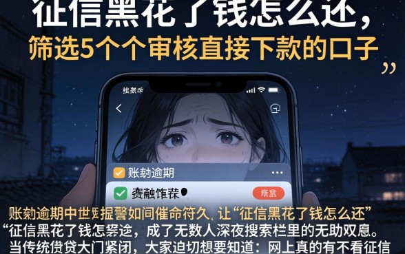 征信黑花了钱怎么还，筛选5个不审核直接下款的口子