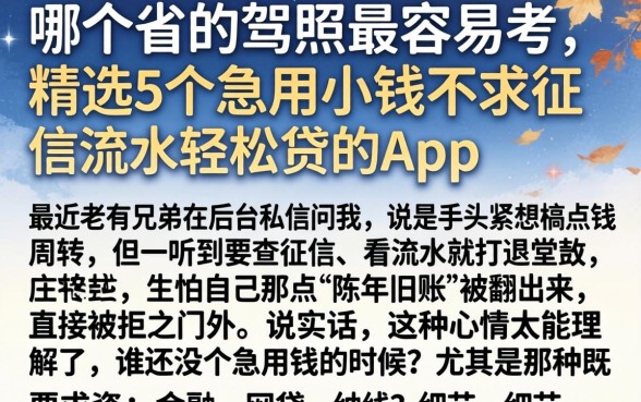 哪个省的驾照最容易考，精选5个急用小钱不求征信流水轻松贷的app