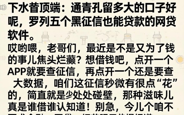 下水管顶端的通气孔留多大的口子好呢，罗列五个黑征信也能贷款的网贷软件