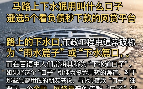 马路上的下水口叫什么口子,遴选5个不看负债秒下款的网贷平台