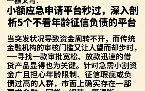 小额应急申请平台秒过，深入剖析5个不看年龄征信负债的平台