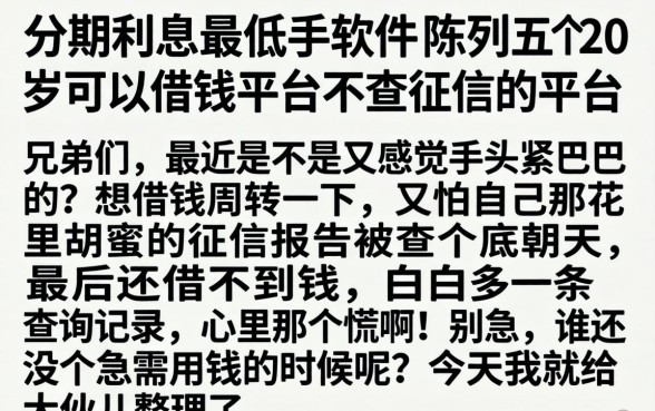 分期利息最低的软件，陈列五个20岁可以借钱平台不查征信的平台