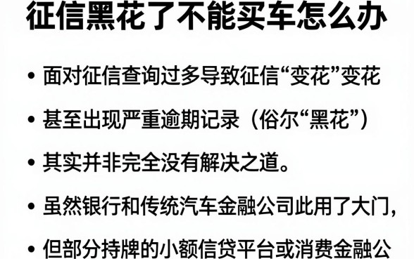 征信黑花了不能买车怎么办,归纳五个征信花了能网贷的软件