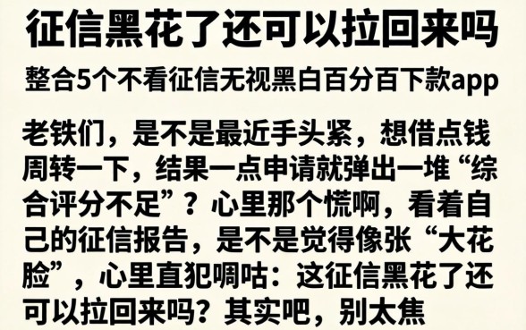 征信黑花了还可以拉回来吗，整合5个不看征信无视黑白百分百下款app