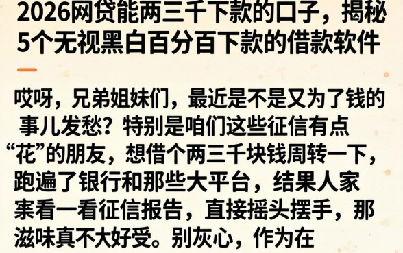 2026网贷能两三千下款的口子，揭秘5个无视黑白百分百下款的借款软件