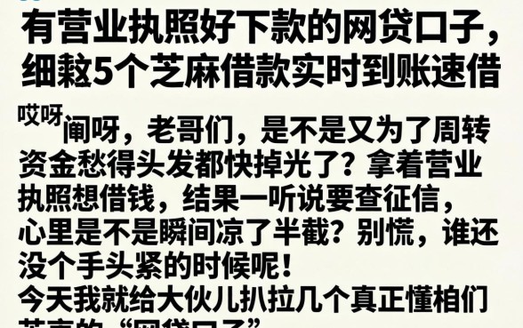 有营业执照好下款的网贷口子，细致阐述5个芝麻借款实时到账速借app