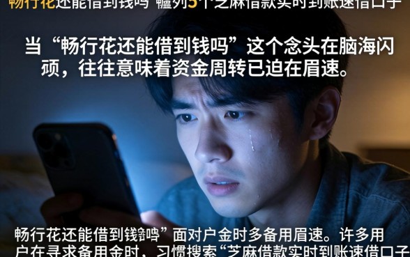 畅行花还能借到钱吗，胪列5个芝麻借款实时到账速借口子