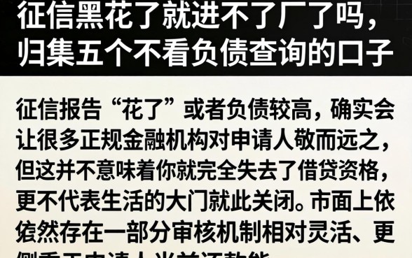 征信黑花了就进不了厂了吗，归集五个不看负债查询的口子